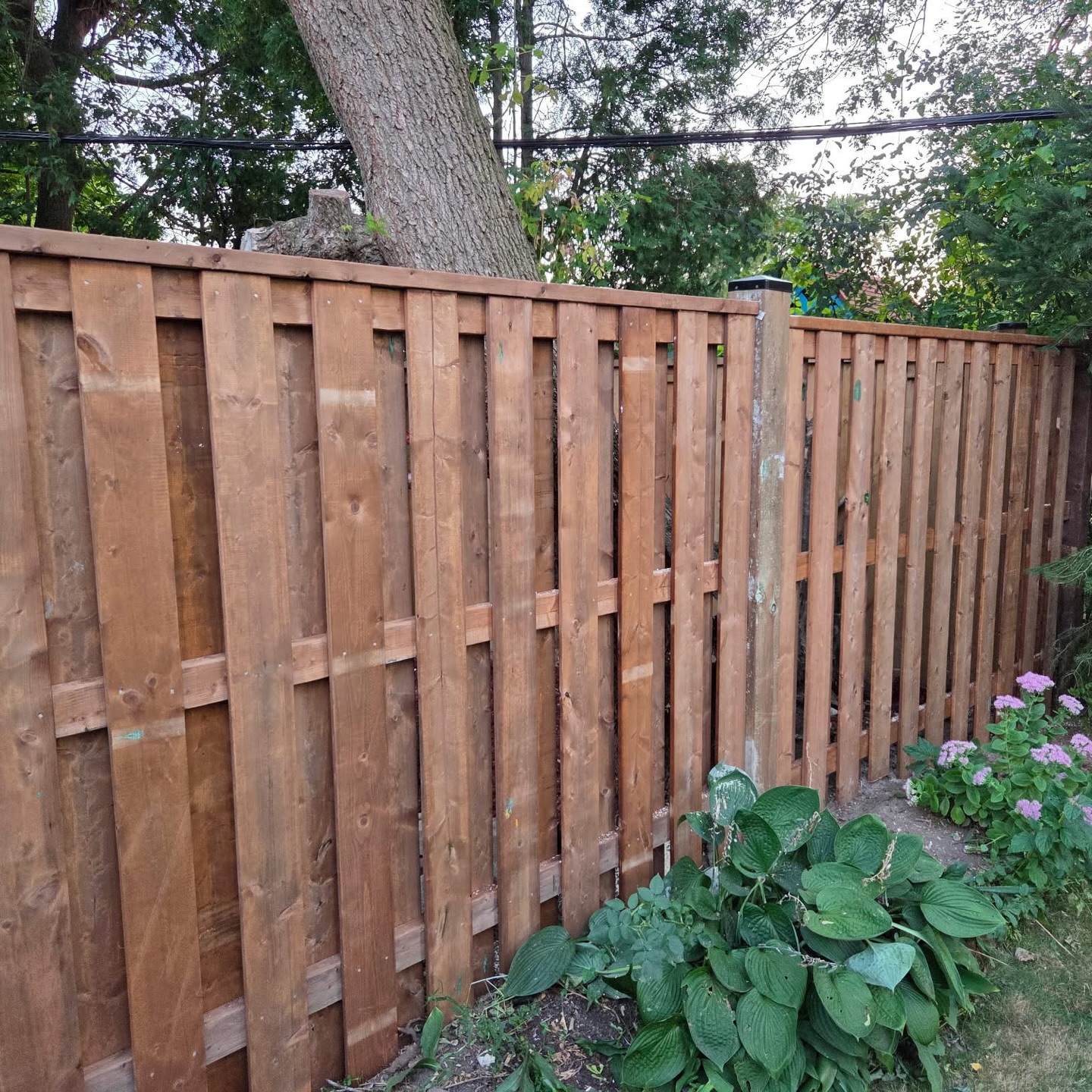 Between Neighbours Fence by KRAO Renovations