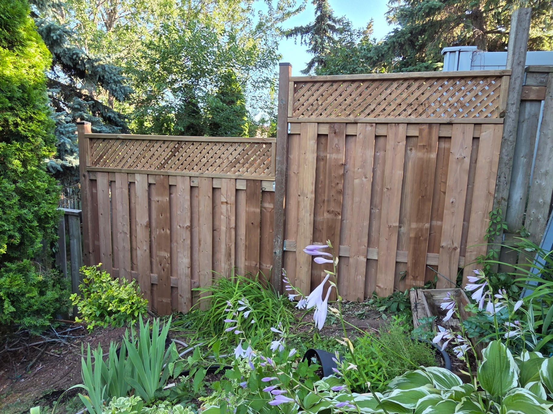 Vaughan – Lattice Fence Garden